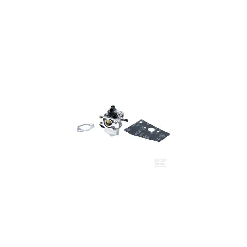 Kit carburateur et joints