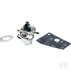 Kit carburateur et joints