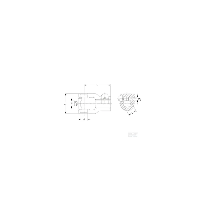 Mâchoire boulon de serrage 1 3/8 (21) CC P480 Walterscheid