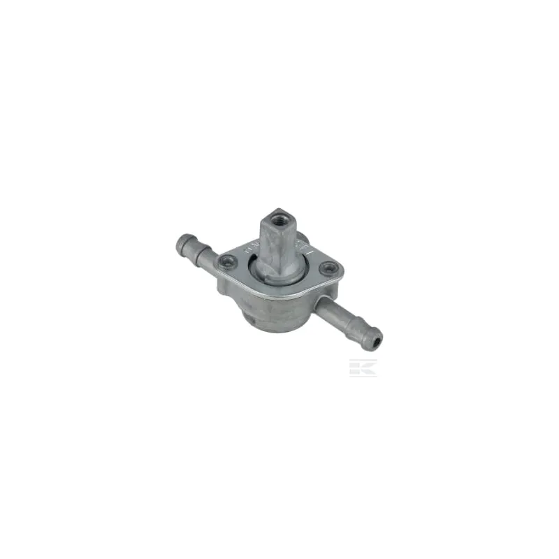 Ensemble du robinet de carburant