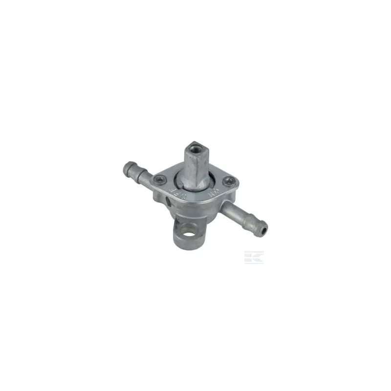Ensemble du robinet de carburant