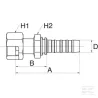 Racc. à sertir DN25-1"11/16SAE