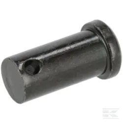 Bouton - filet intérieur .494diax1.