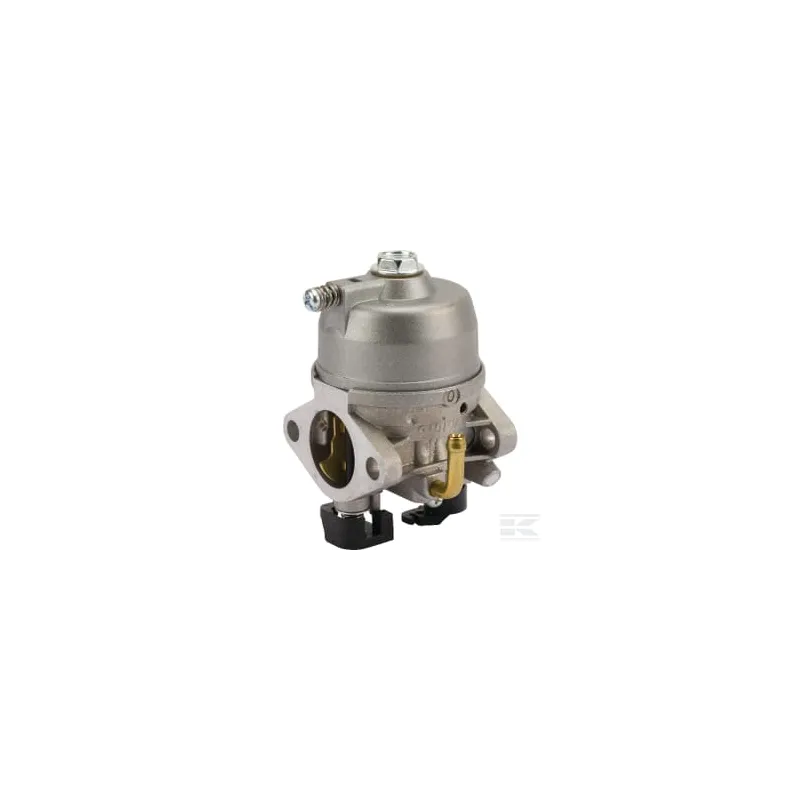 Carburateur Ds54