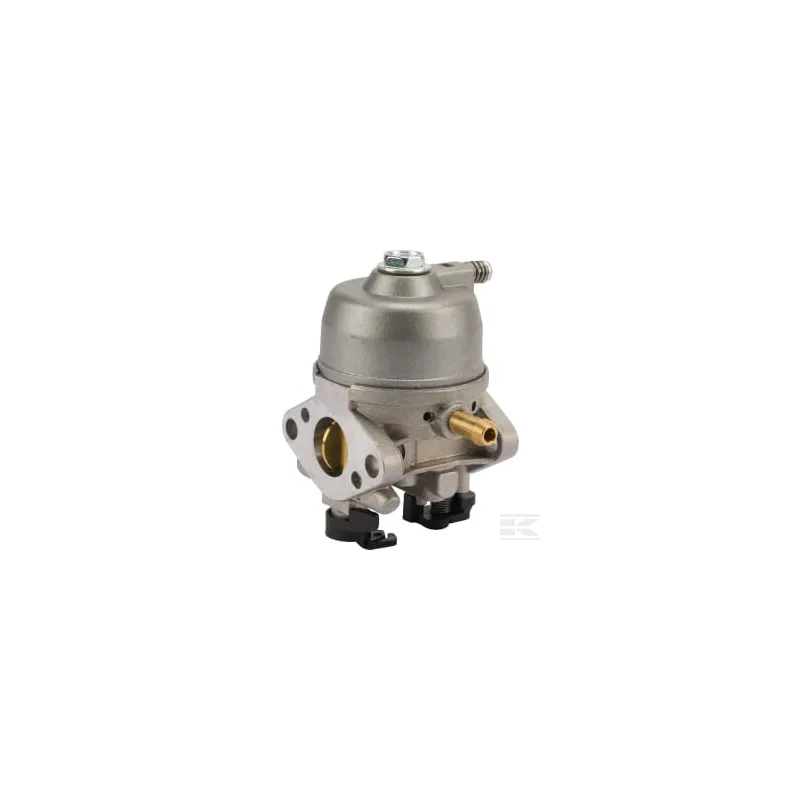 Carburateur Ds54