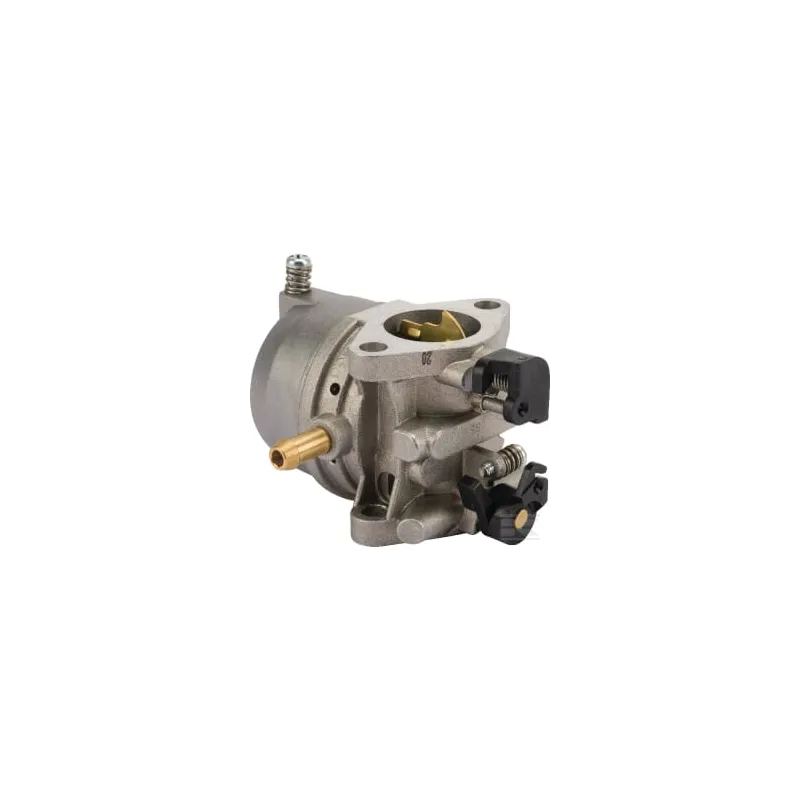 Carburateur Ds54