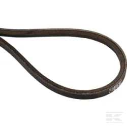 Courroie trapézoïdale