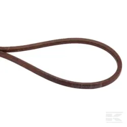 Courroie trapézoïdale
