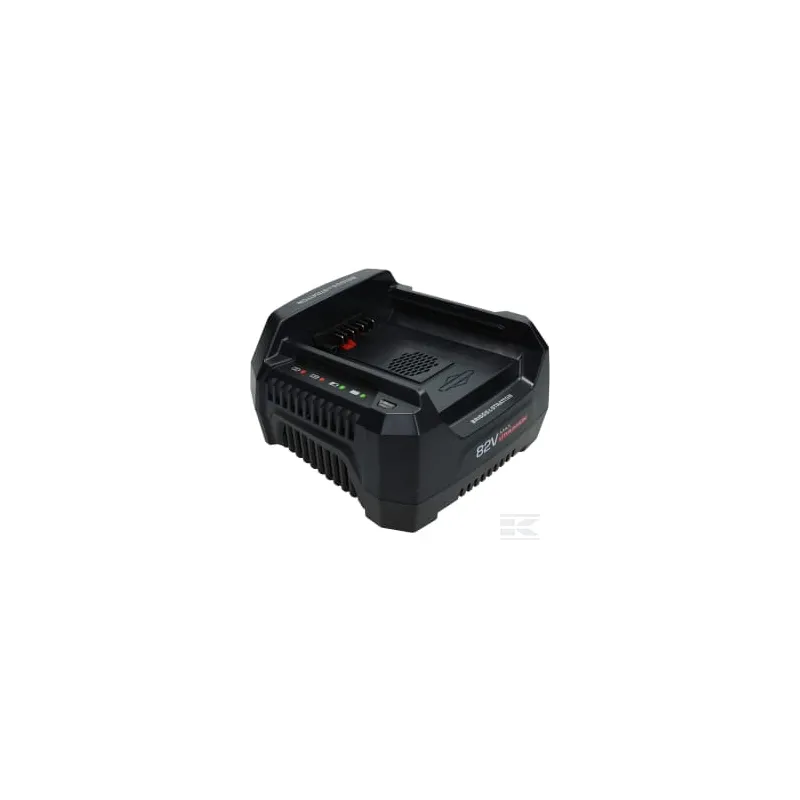 Chargeur de batterie 220v Briggs & Stratton