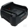Chargeur de batterie 220v Briggs & Stratton