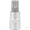 Douille 1/2"Torx TX 70
