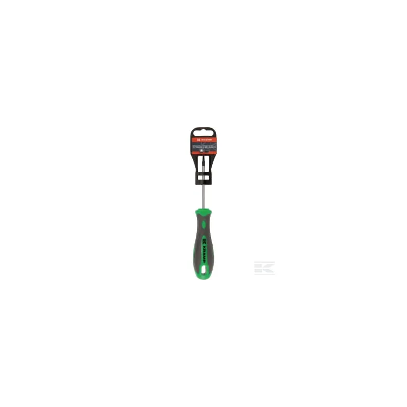 Tournevis Torx T10 x 75 mm