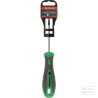 Tournevis Torx T10 x 75 mm