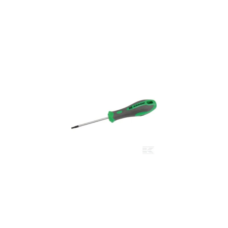 Tournevis Torx T10 x 75 mm
