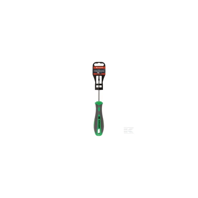 Tournevis Torx T9 x 75 mm