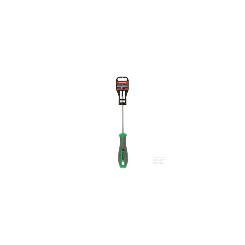 Tournevis Torx T25 x 125 mm