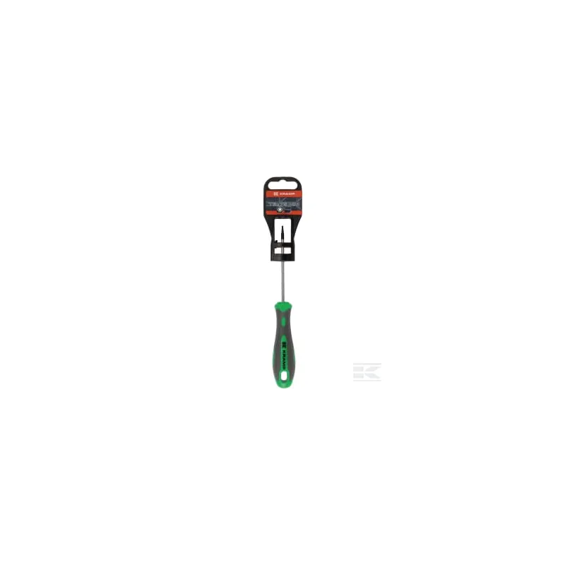 Tournevis Torx T6 x 75 mm