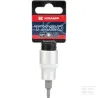 Douille 1/2"Torx TX 20