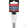 Douille 1/2"Torx TX 60
