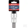Douille de tournevis 3/4" Hex 17 mm