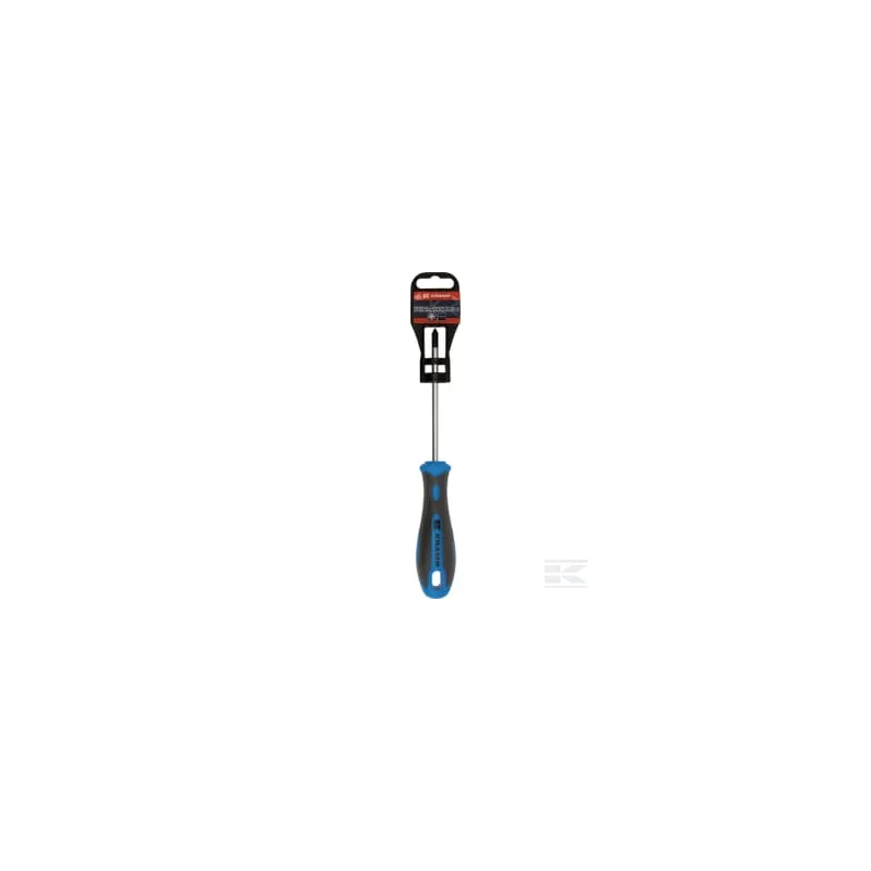 Tournevis cruciforme PZ1 x 100 mm