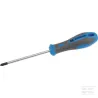 Tournevis cruciforme PZ1 x 100 mm