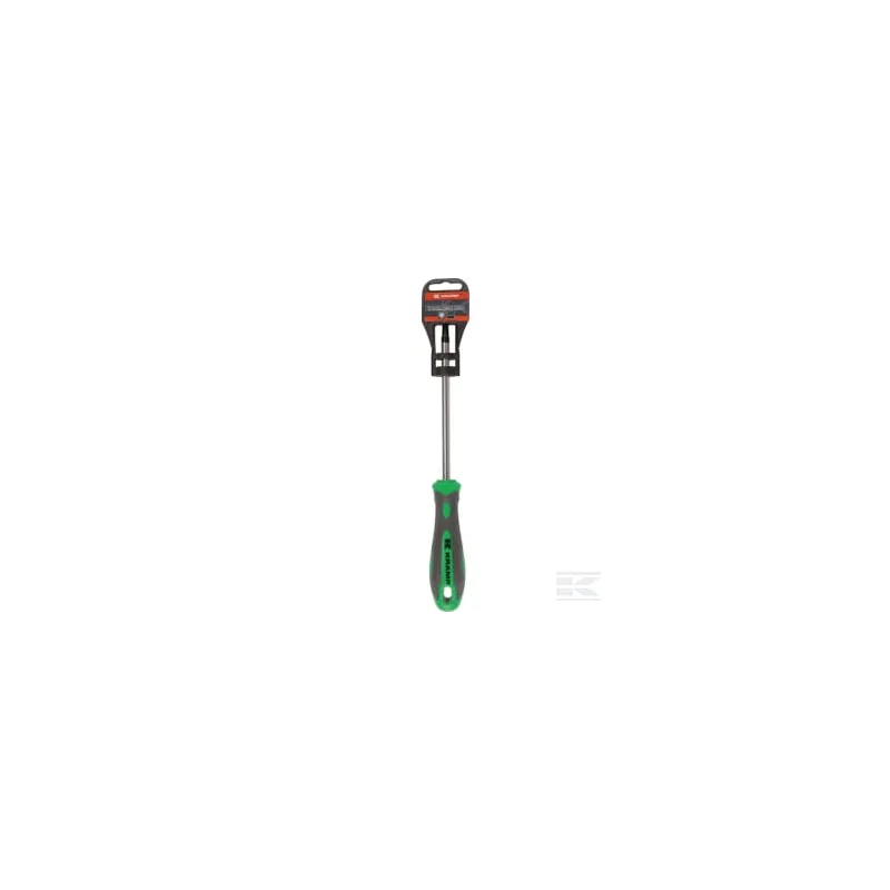 Tournevis Torx T40 x 150 mm