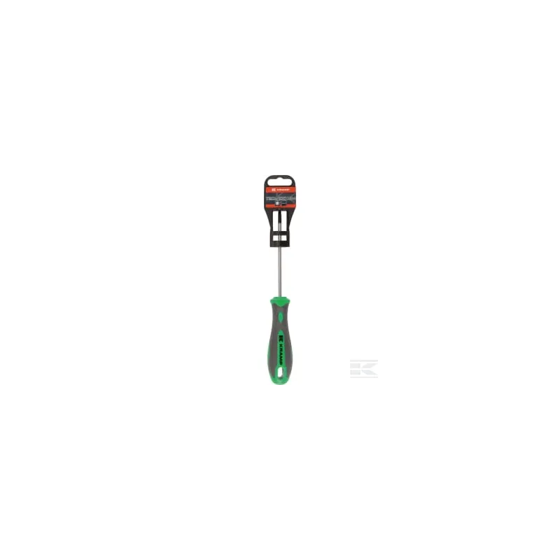 Tournevis Torx T20 x 100 mm
