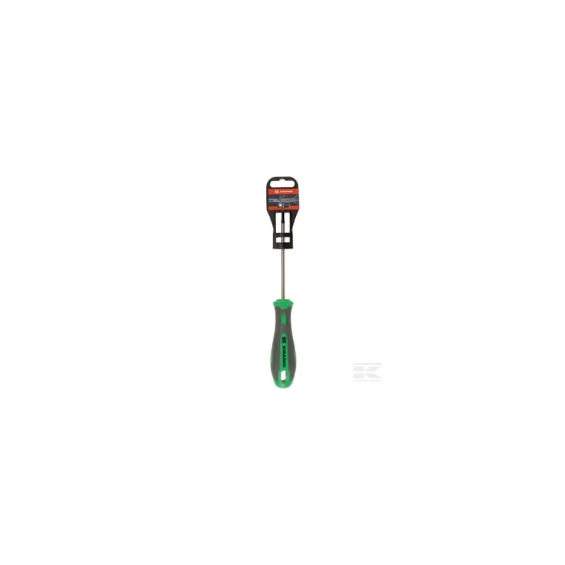 Tournevis Torx T15 x 100 mm