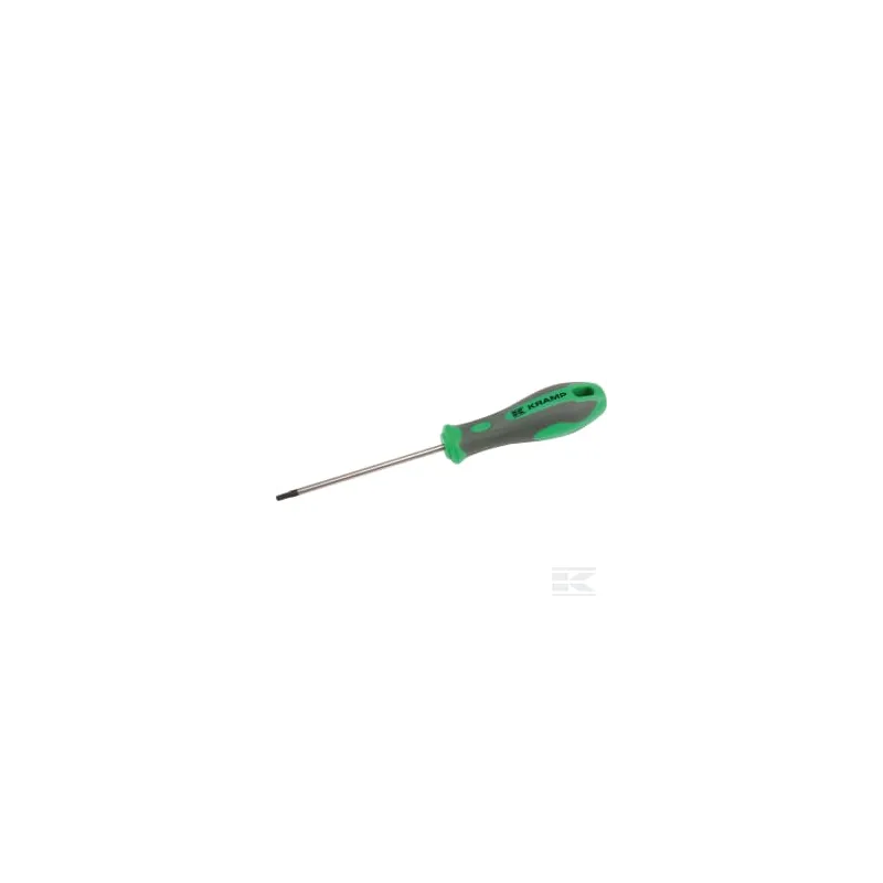 Tournevis Torx T15 x 100 mm