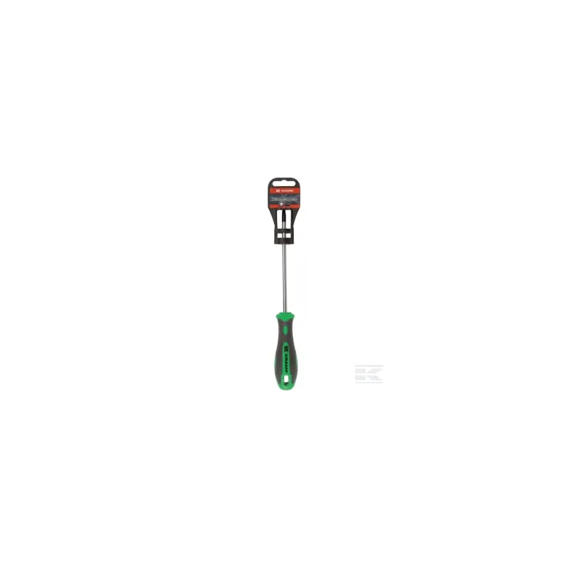 Tournevis Torx T30 x 150 mm