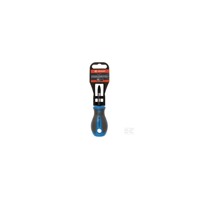 Tournevis cruciforme court PZ2 x 38 mm