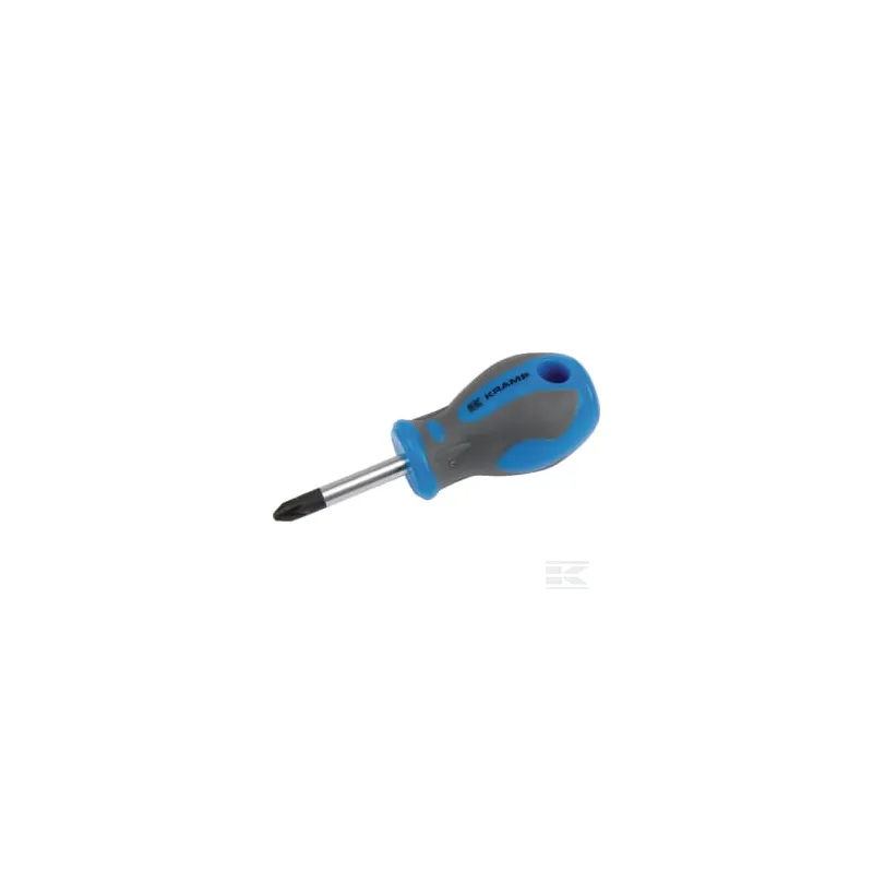 Tournevis cruciforme court PZ2 x 38 mm