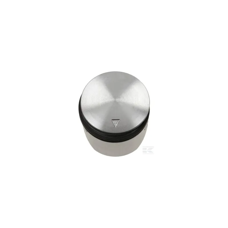 Piston cpl. SHJ 550