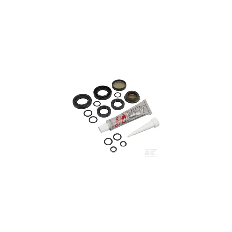 Kit de joints (Stiga, sans huile)