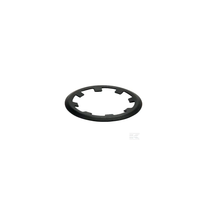Circlip