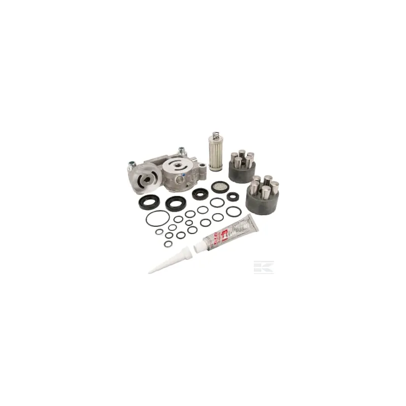Kit de réparation (K66AC,B,D,I,M,V) (sans huile avec produit d'étanchéité)