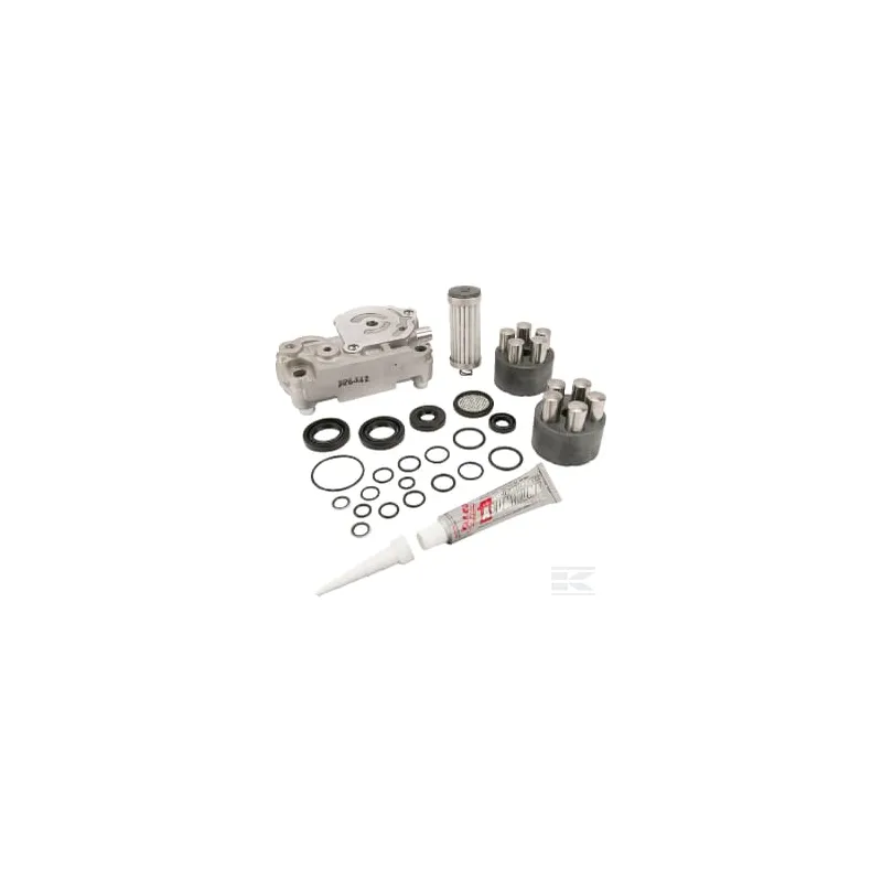 Kit de réparation (K66AC,B,D,I,M,V) (sans huile avec produit d'étanchéité)