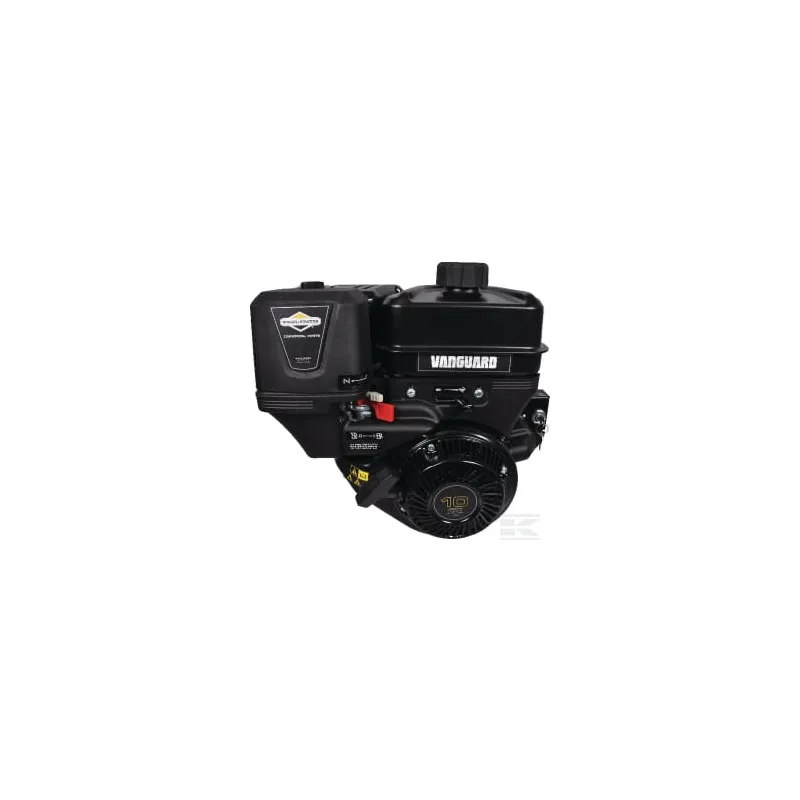 Moteur complet 8.9ch Briggs & Stratton