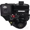 Moteur complet 8.9ch Briggs & Stratton