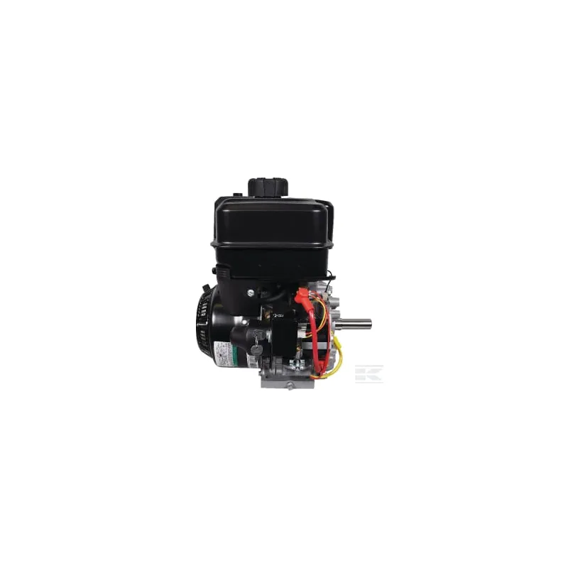 Moteur complet 8.9ch Briggs & Stratton