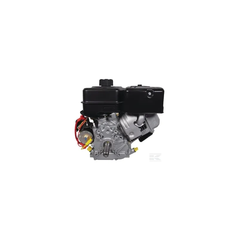 Moteur complet 8.9ch Briggs & Stratton
