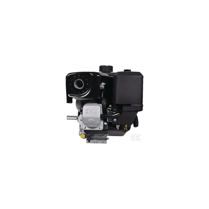 Moteur complet 8.9ch Briggs & Stratton