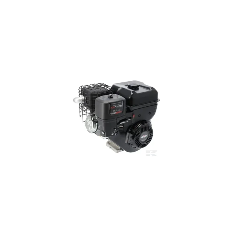 Moteur, horizontal, 10 HP, série 1450, Briggs & Stratton