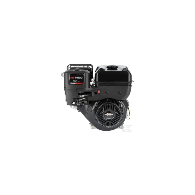 Moteur, horizontal, 10 HP, série 1450, Briggs & Stratton