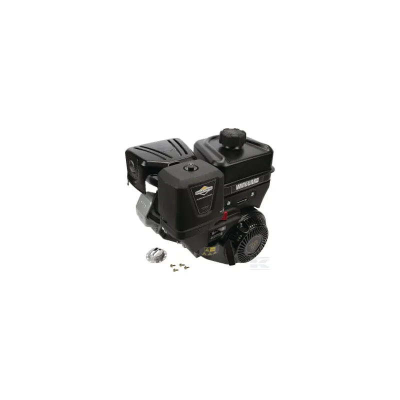 Moteur complet 8.9ch Briggs & Stratton