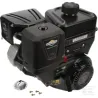 Moteur complet 8.9ch Briggs & Stratton