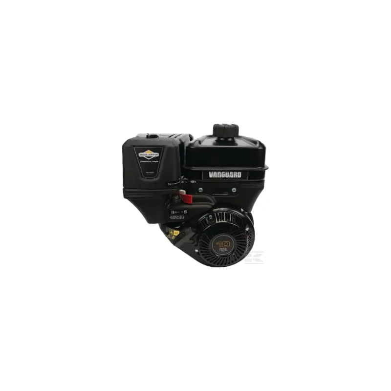 Moteur complet 8.9ch Briggs & Stratton