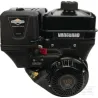 Moteur complet 8.9ch Briggs & Stratton