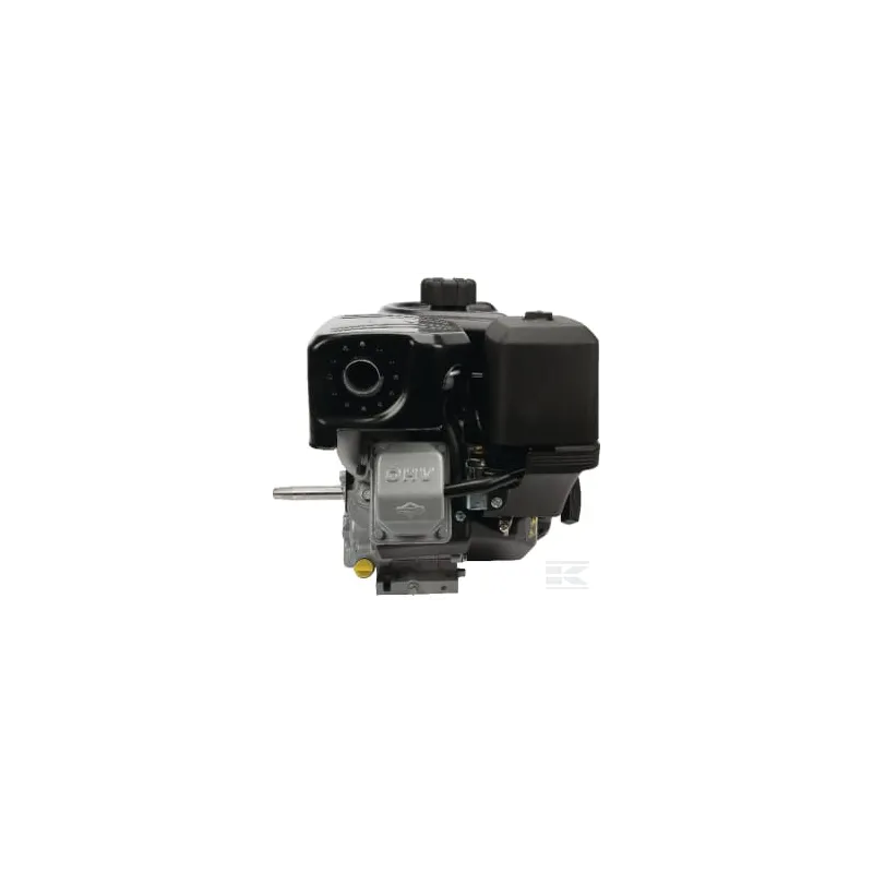 Moteur complet 8.9ch Briggs & Stratton